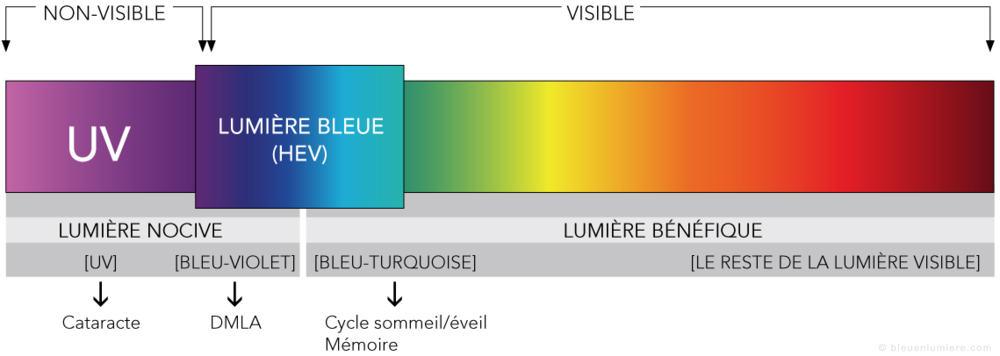 Saviez-vous que la lumière bleue des écrans est très dangereuse à tous points de vue ?